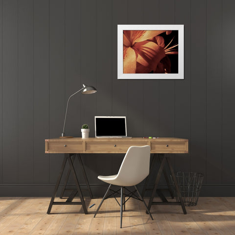 Exotique I White Modern Wood Framed Art Print by Burkhart, Monika