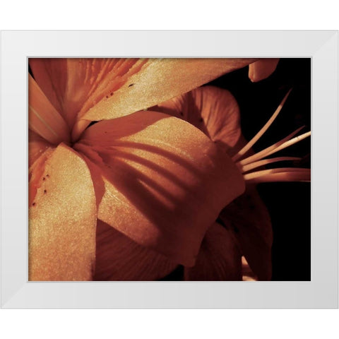 Exotique I White Modern Wood Framed Art Print by Burkhart, Monika