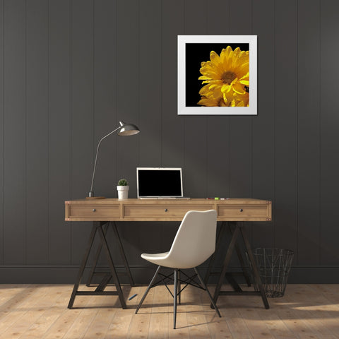 Sun Sparkled II White Modern Wood Framed Art Print by Burkhart, Monika