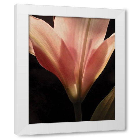Blooming Peach Floral White Modern Wood Framed Art Print by Burkhart, Monika