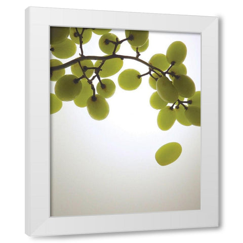 Grape Bunch I White Modern Wood Framed Art Print by Burkhart, Monika