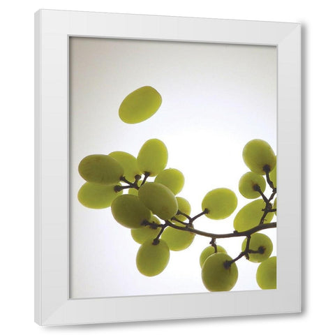 Grape Bunch II White Modern Wood Framed Art Print by Burkhart, Monika