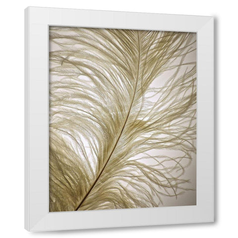 Feather Close-Up I White Modern Wood Framed Art Print by Burkhart, Monika