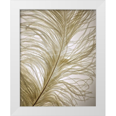 Feather Close-Up I White Modern Wood Framed Art Print by Burkhart, Monika