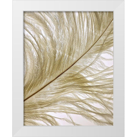 Feather Close-Up II White Modern Wood Framed Art Print by Burkhart, Monika
