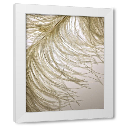Feather Close-Up III White Modern Wood Framed Art Print by Burkhart, Monika