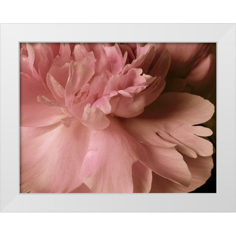 Soft Peonies I White Modern Wood Framed Art Print by Burkhart, Monika