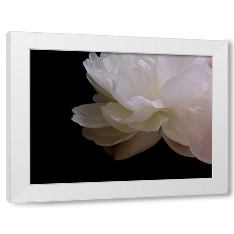 White Peony I White Modern Wood Framed Art Print by Burkhart, Monika