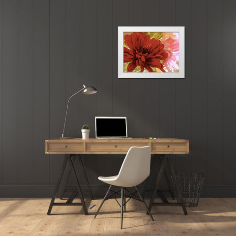 Gerbera Daisies White Modern Wood Framed Art Print by Burkhart, Monika