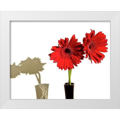 Daisy Shadows White Modern Wood Framed Art Print by Burkhart, Monika