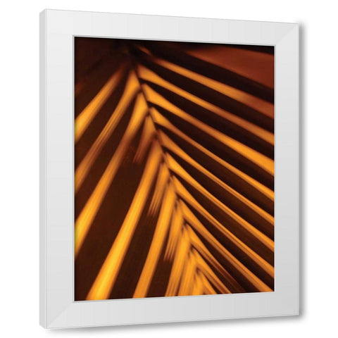 Leaf Shadow I White Modern Wood Framed Art Print by Berzel, Erin