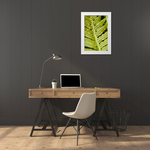 Spring Growth III White Modern Wood Framed Art Print by Berzel, Erin
