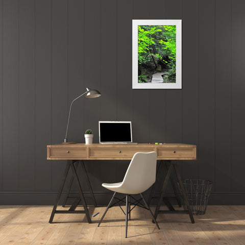 Afternoon Hike II White Modern Wood Framed Art Print by Berzel, Erin