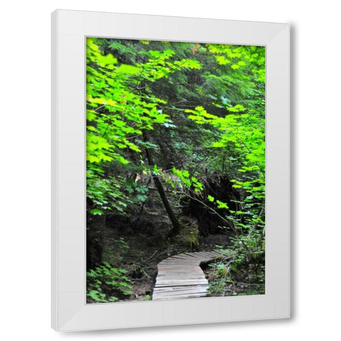 Afternoon Hike II White Modern Wood Framed Art Print by Berzel, Erin