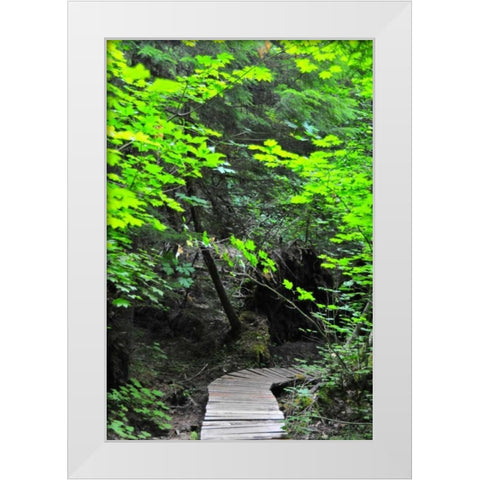 Afternoon Hike II White Modern Wood Framed Art Print by Berzel, Erin