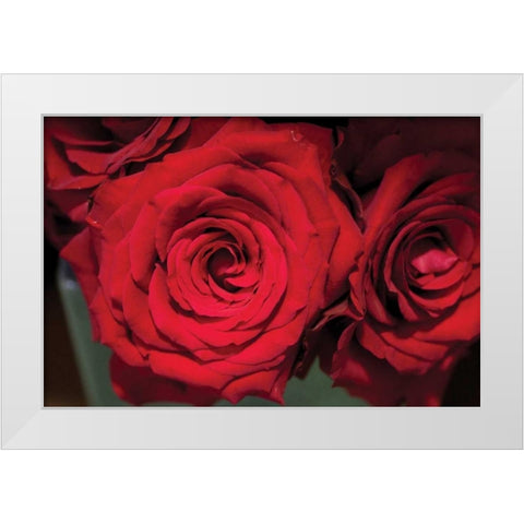 Red Roses White Modern Wood Framed Art Print by Berzel, Erin