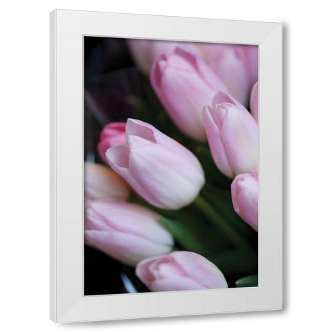 Soft Pink Tulips I White Modern Wood Framed Art Print by Berzel, Erin