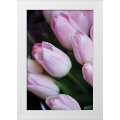 Soft Pink Tulips I White Modern Wood Framed Art Print by Berzel, Erin