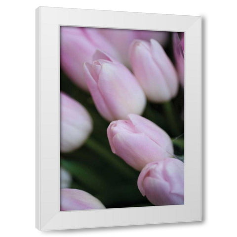 Soft Pink Tulips II White Modern Wood Framed Art Print by Berzel, Erin