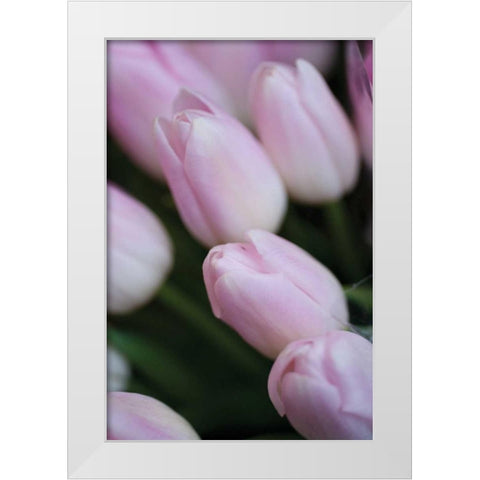 Soft Pink Tulips II White Modern Wood Framed Art Print by Berzel, Erin