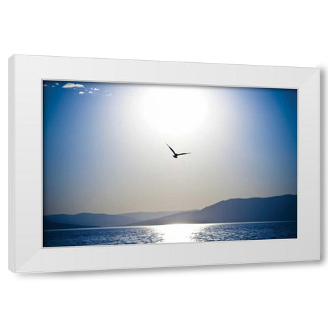Take Flight White Modern Wood Framed Art Print by Berzel, Erin