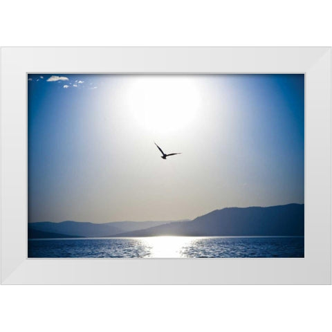 Take Flight White Modern Wood Framed Art Print by Berzel, Erin