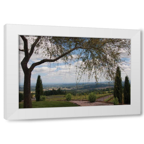 Vineyard Vista White Modern Wood Framed Art Print by Berzel, Erin
