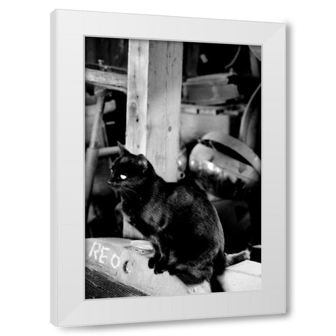 Farm Cat White Modern Wood Framed Art Print by Berzel, Erin