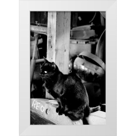 Farm Cat White Modern Wood Framed Art Print by Berzel, Erin