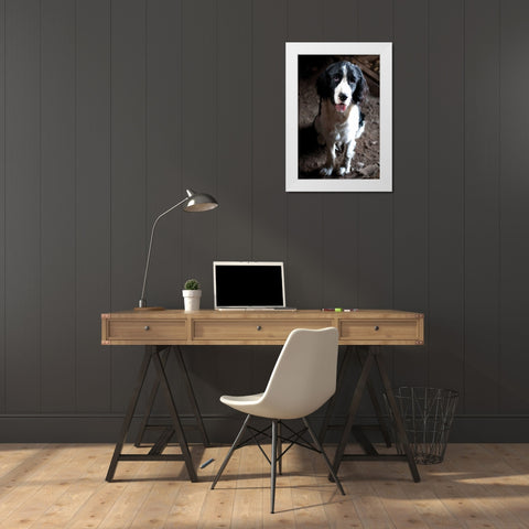 Jake The Dog White Modern Wood Framed Art Print by Berzel, Erin