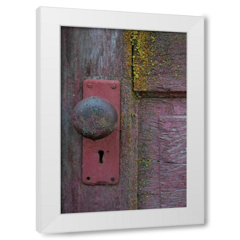 Barn Door White Modern Wood Framed Art Print by Berzel, Erin