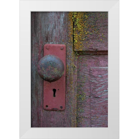 Barn Door White Modern Wood Framed Art Print by Berzel, Erin