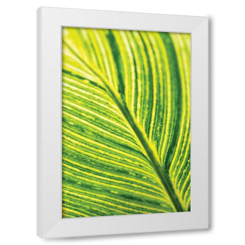 Leaf Detail III White Modern Wood Framed Art Print by Berzel, Erin