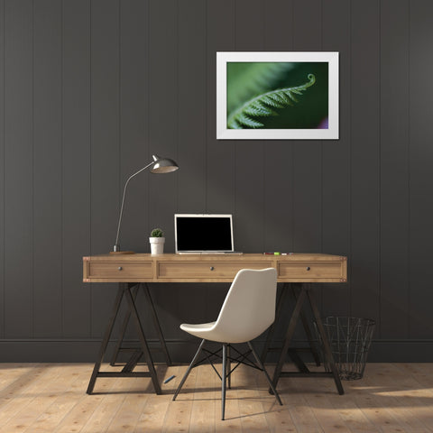 Fern Detail I White Modern Wood Framed Art Print by Berzel, Erin