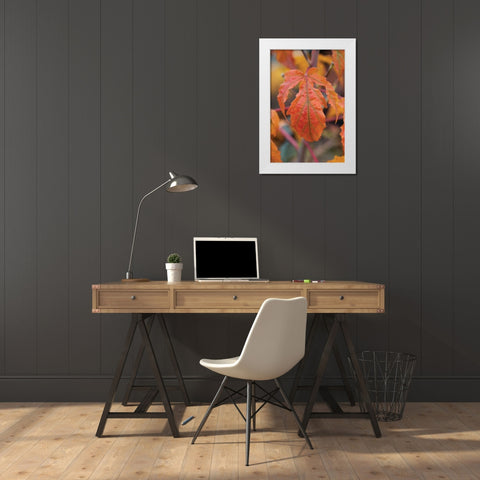 Orange Leaves I White Modern Wood Framed Art Print by Berzel, Erin