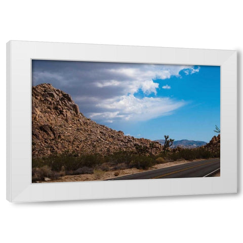 Joshua Tree National Park II White Modern Wood Framed Art Print by Berzel, Erin