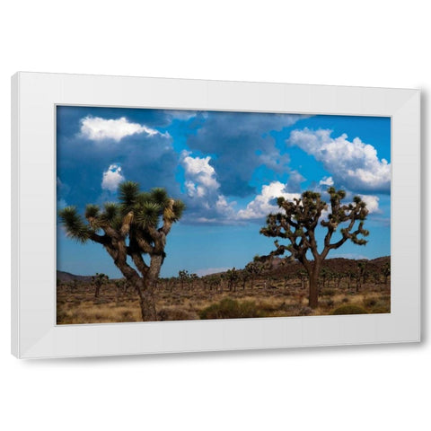 Blue Sky I White Modern Wood Framed Art Print by Berzel, Erin
