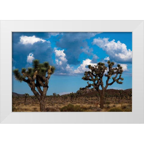 Blue Sky I White Modern Wood Framed Art Print by Berzel, Erin