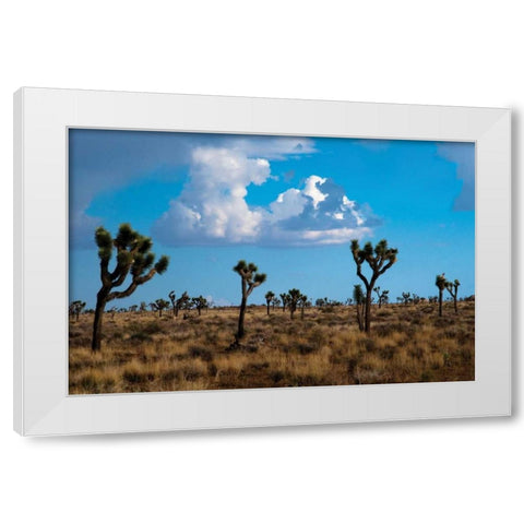 Blue Sky II White Modern Wood Framed Art Print by Berzel, Erin