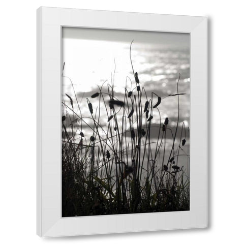 Coastal Grass I White Modern Wood Framed Art Print by Berzel, Erin