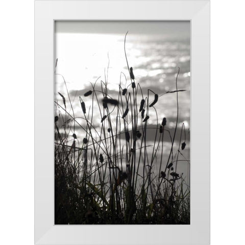 Coastal Grass I White Modern Wood Framed Art Print by Berzel, Erin