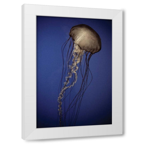 In the Water II White Modern Wood Framed Art Print by Berzel, Erin