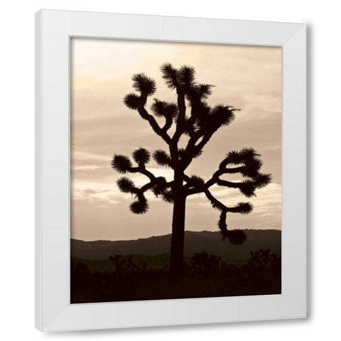Yucca Brevifolia IV White Modern Wood Framed Art Print by Berzel, Erin