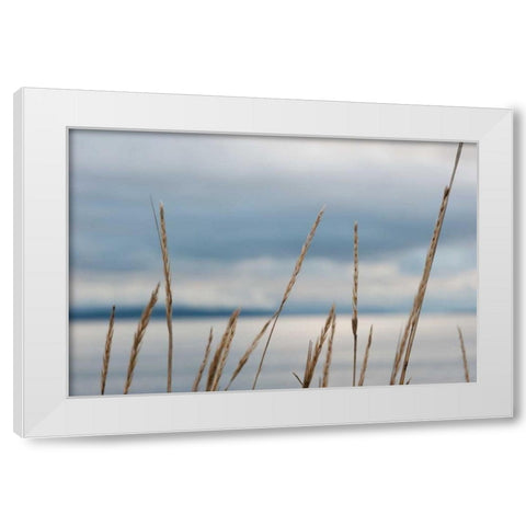 Whidbey Grass I White Modern Wood Framed Art Print by Berzel, Erin
