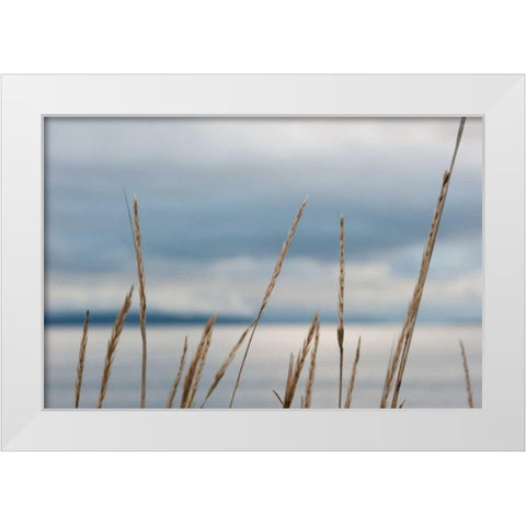 Whidbey Grass I White Modern Wood Framed Art Print by Berzel, Erin