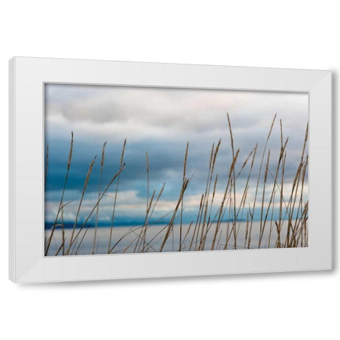 Whidbey Grass II White Modern Wood Framed Art Print by Berzel, Erin