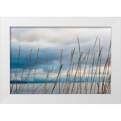 Whidbey Grass II White Modern Wood Framed Art Print by Berzel, Erin
