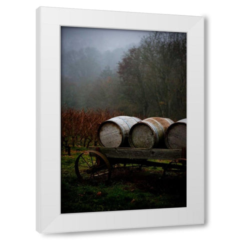 Oregon Wine Country II White Modern Wood Framed Art Print by Berzel, Erin