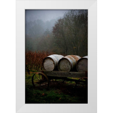 Oregon Wine Country II White Modern Wood Framed Art Print by Berzel, Erin