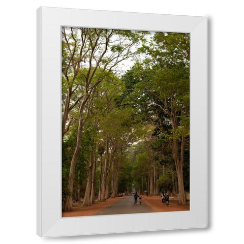 Road to Angkor White Modern Wood Framed Art Print by Berzel, Erin